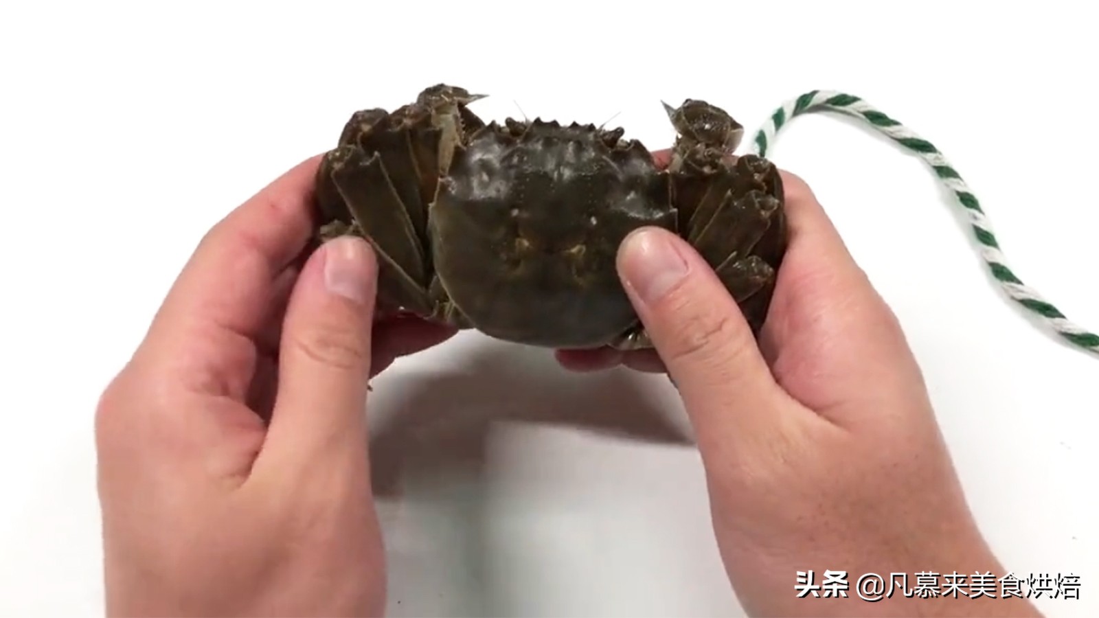 正确的螃蟹绑法,绑螃蟹技巧教学