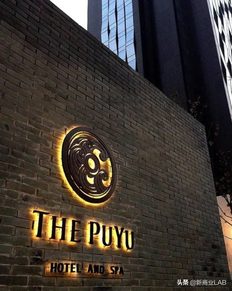 姝︽眽涓轰粈涔堣绉颁负閰掑簵鑽掓紶,姝︽眽閰掑簵鑽掓紶