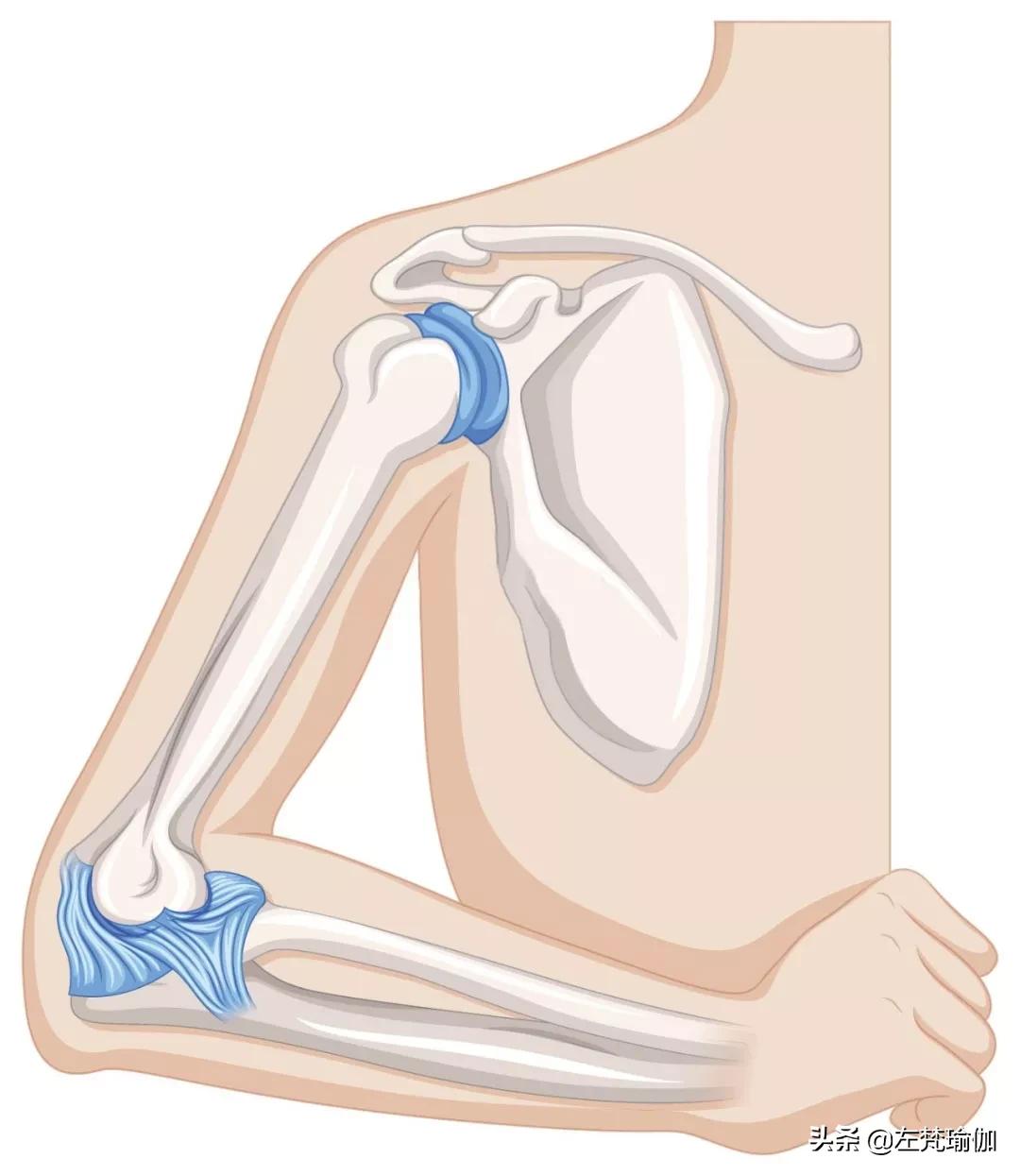 请停止过度“开肩”了！你的肩关节正在*吟呻**...