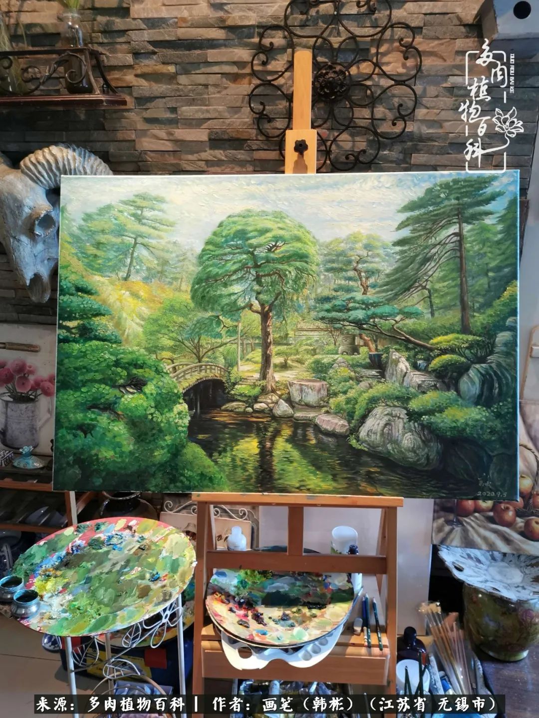 阳台多肉花园简直美翻了,适合男生养的多肉