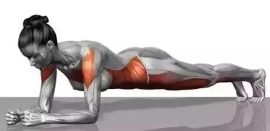 初学者怎样练平板支撑视频,女人练平板支撑有什么好处