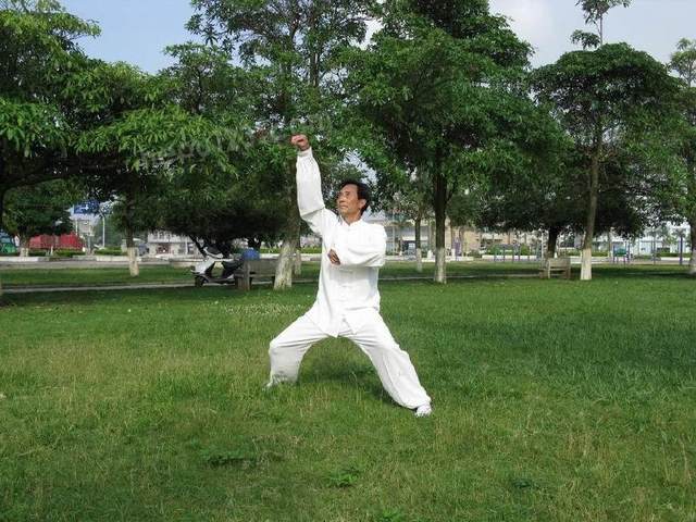 广东五大名拳视频,广东十大名拳高手