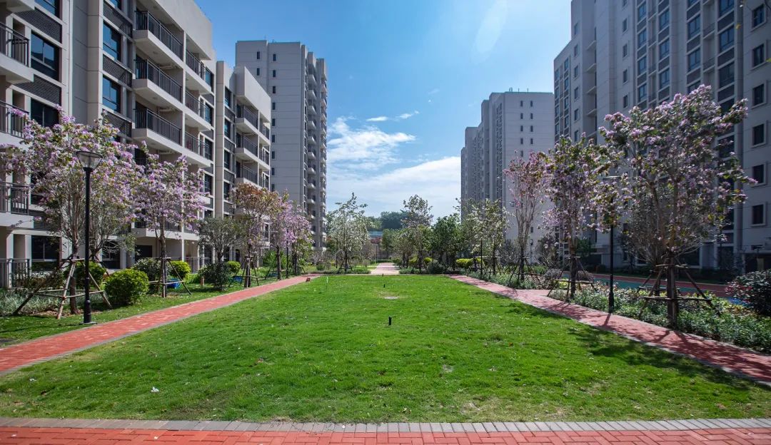 厦门塘边地铁社区什么时候交房,旧貌换新颜小区