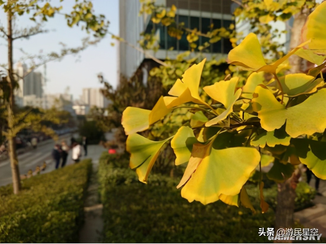 索尼小屏旗舰xperia5V,xperia5iii与xperia5ii对比