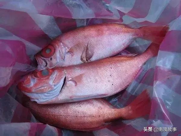 南澳渔民出海最常见的50种海鱼，都吃过，你就能退休了！