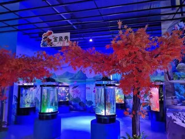 白鹿仓欢迎大家来白鹿仓观看直播,白鹿仓冰雪海洋旅游