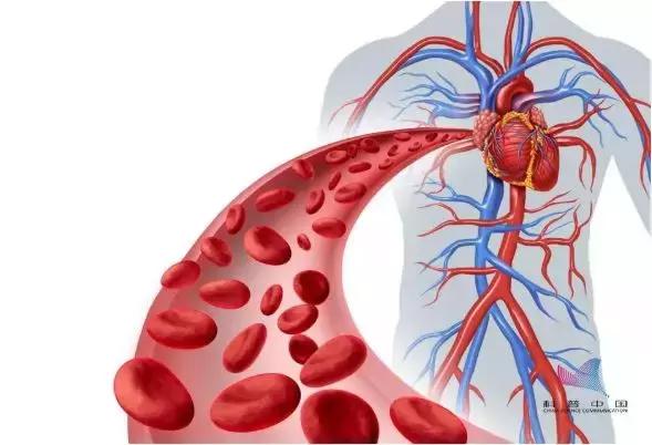 2019中国科协发布科学流言终结榜,中国科学十大流言发布