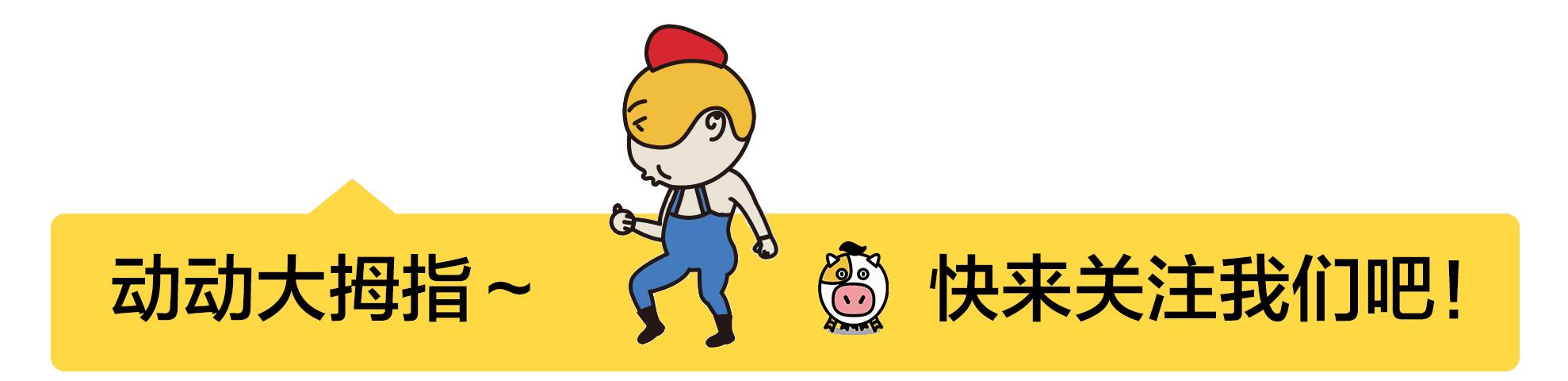 比熊吃鸡肉狗粮还是鸭肉狗粮好,小体比熊狗粮推荐皇家狗粮