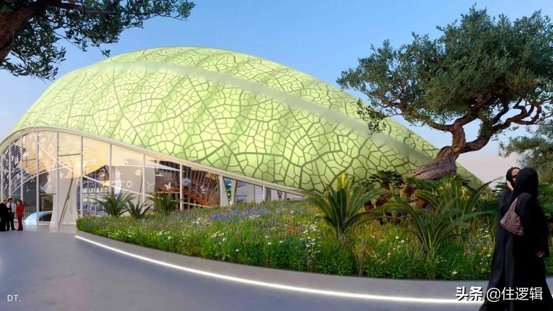2020年迪拜世博会的展示设计鉴赏,迪拜世博会绝美建筑设计图