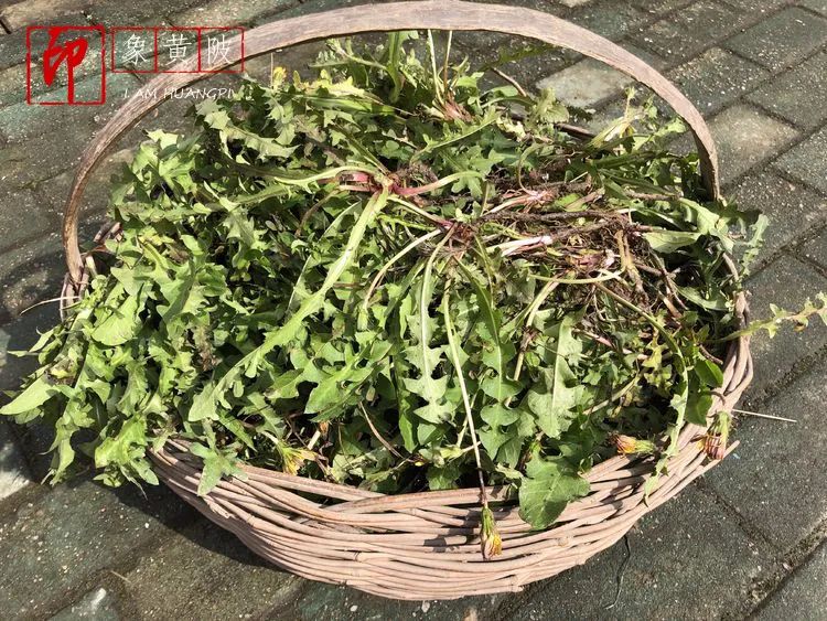 围城里的篱笆,围城里的小镇