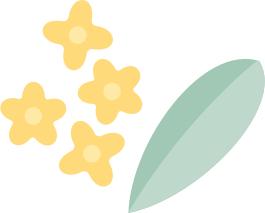 知识点详细的初中教辅推荐,干货必读书单推荐