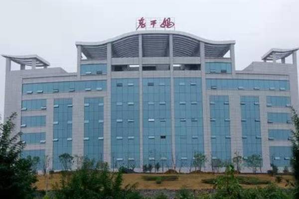 老干妈陶华碧的理念,老干妈陶华碧企业秘籍重在人心