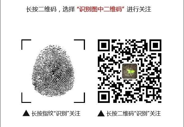 疼痛篇：拔掉疼痛射向自己的第2支箭，你的疼痛谁做主？