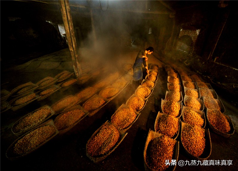 白酒的发展史及起源,白酒的起源与发展历史