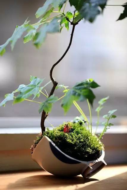 杯子手工改造,手工装饰自己的玻璃杯