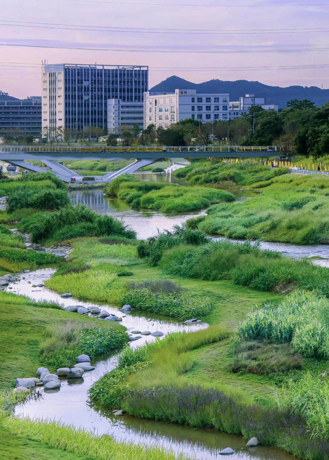 蝶变茅洲河，遇见城之美/同济设计TJAD