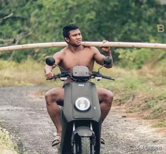 养鸡好挣钱吗,养鸡前景如何