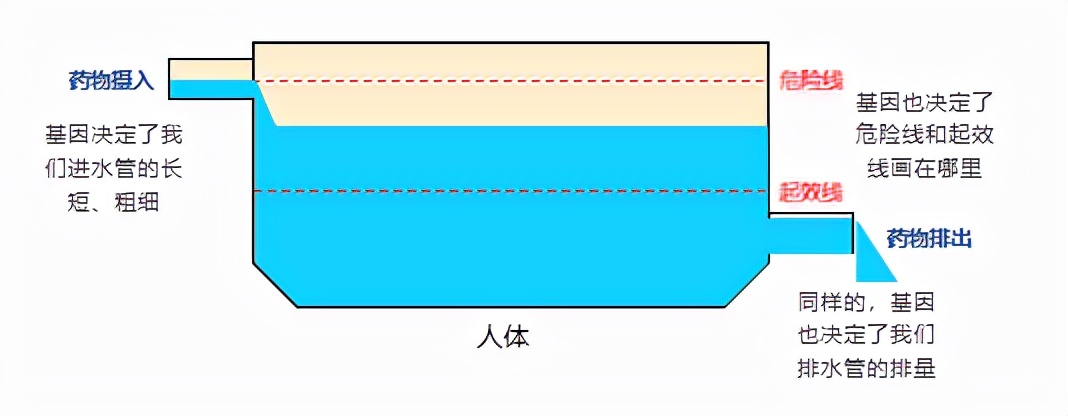 儿童精准用药基因检测有必要做吗,抗抑郁精准用药基因检测报告