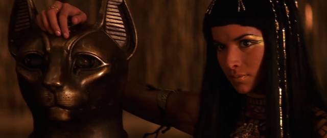 人类对猫的发展史,猫在人类发展历史的地位