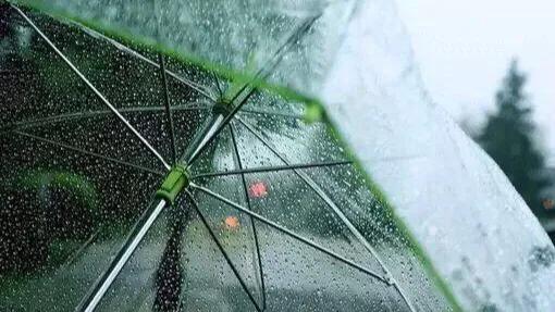 黑坑最好的解决办法,黑坑肥水塘钓鱼技巧