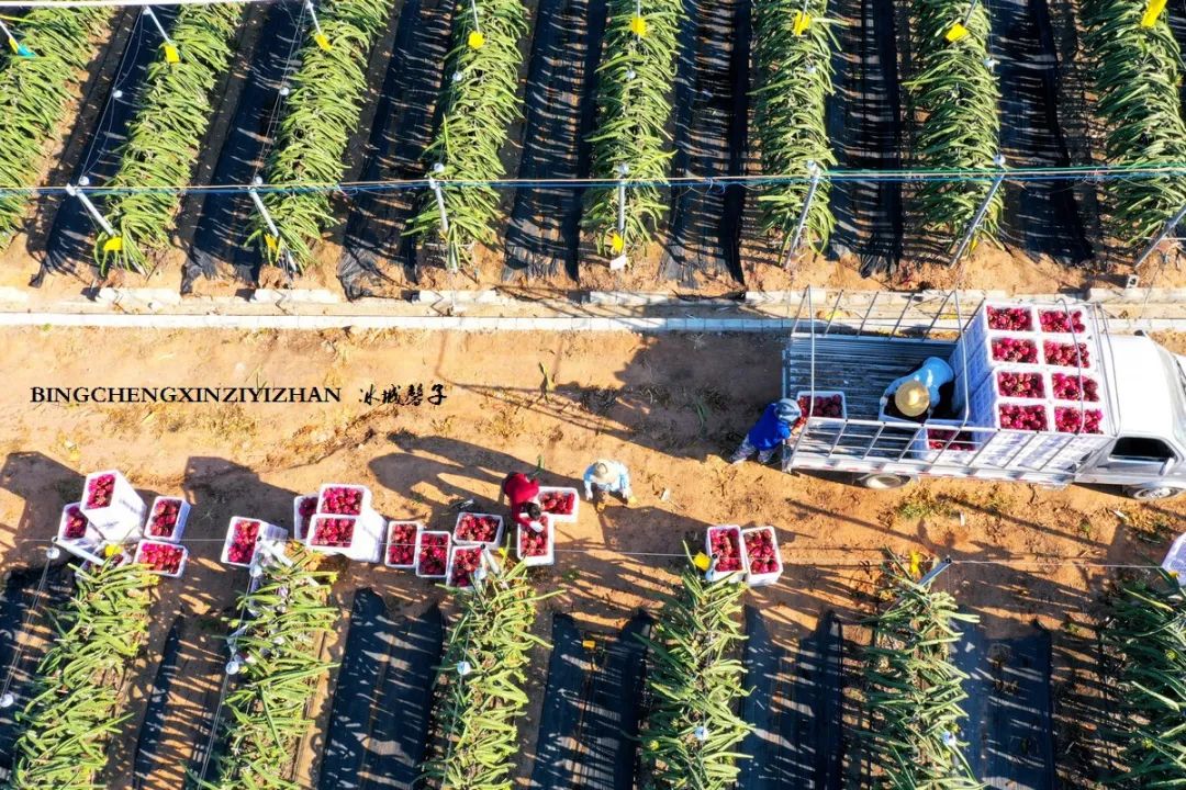 海南乐东九所康养度假村,海南乐东九所康养基地有哪些