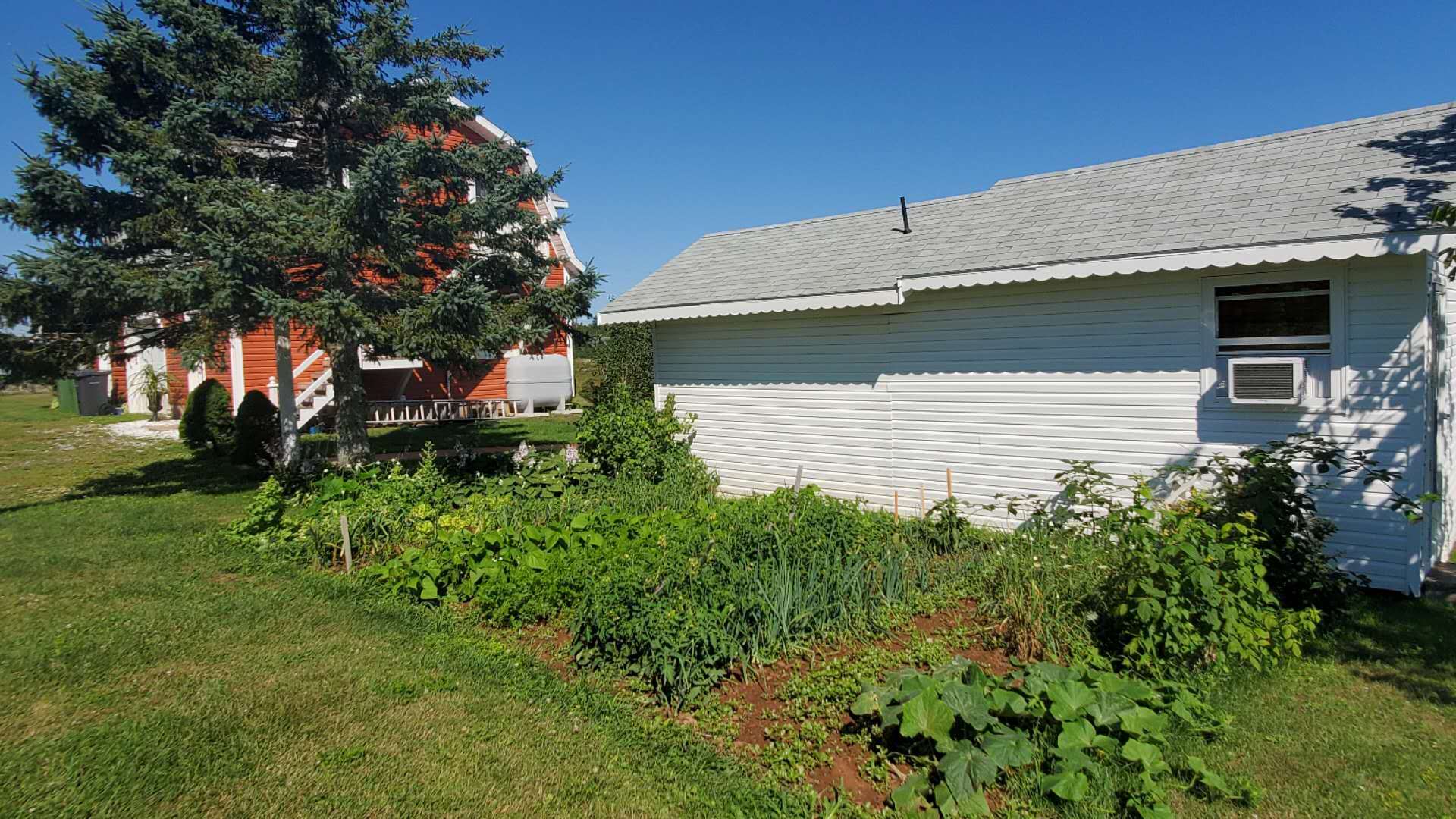 爱德华王子岛旅游,爱德华王子岛避暑之旅