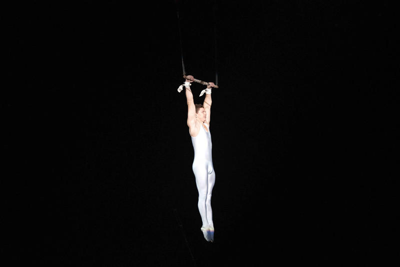 玩转广州长隆野生动物世界之行,广州长隆动物世界游玩攻略图