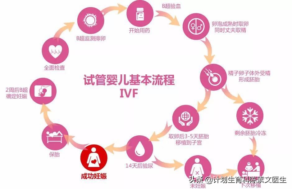 关于试管婴儿你不知道的6个真相,试管婴儿胚胎移植后需要注意事项