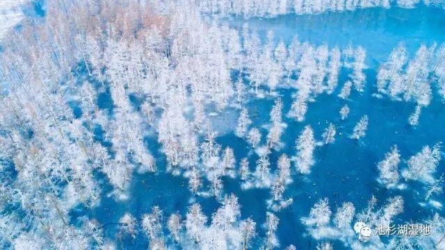 写图文一个月能赚多少钱,图文到底怎么才能吸粉