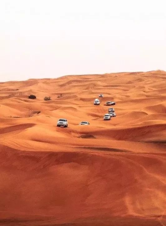 靠捡垃圾成了千亿富翁完整版,捡垃圾变成百万富翁