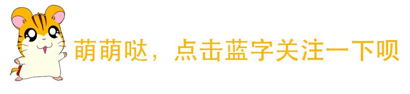 杨梅酒怎么泡出来好看又好喝,怎么泡的杨梅酒才好喝