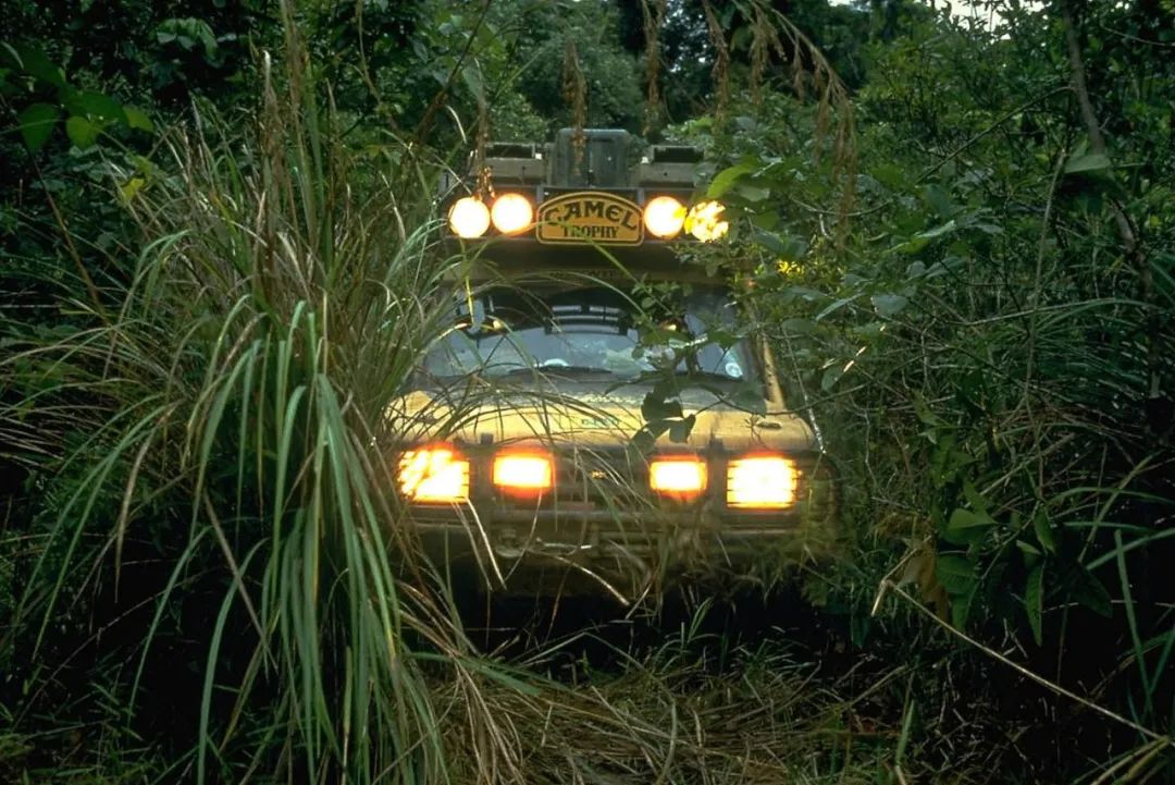 奥林匹克运动会停办的年份,奥林匹克竞赛取消了吗