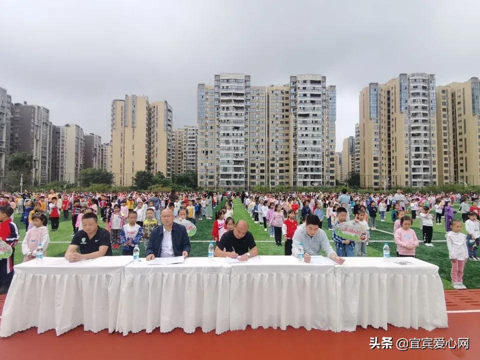 瓒崇悆杞姩姊︽兂,瓒崇悆鐐逛寒姊︽兂缁胯尩鏀鹃甯屾湜瑙嗛