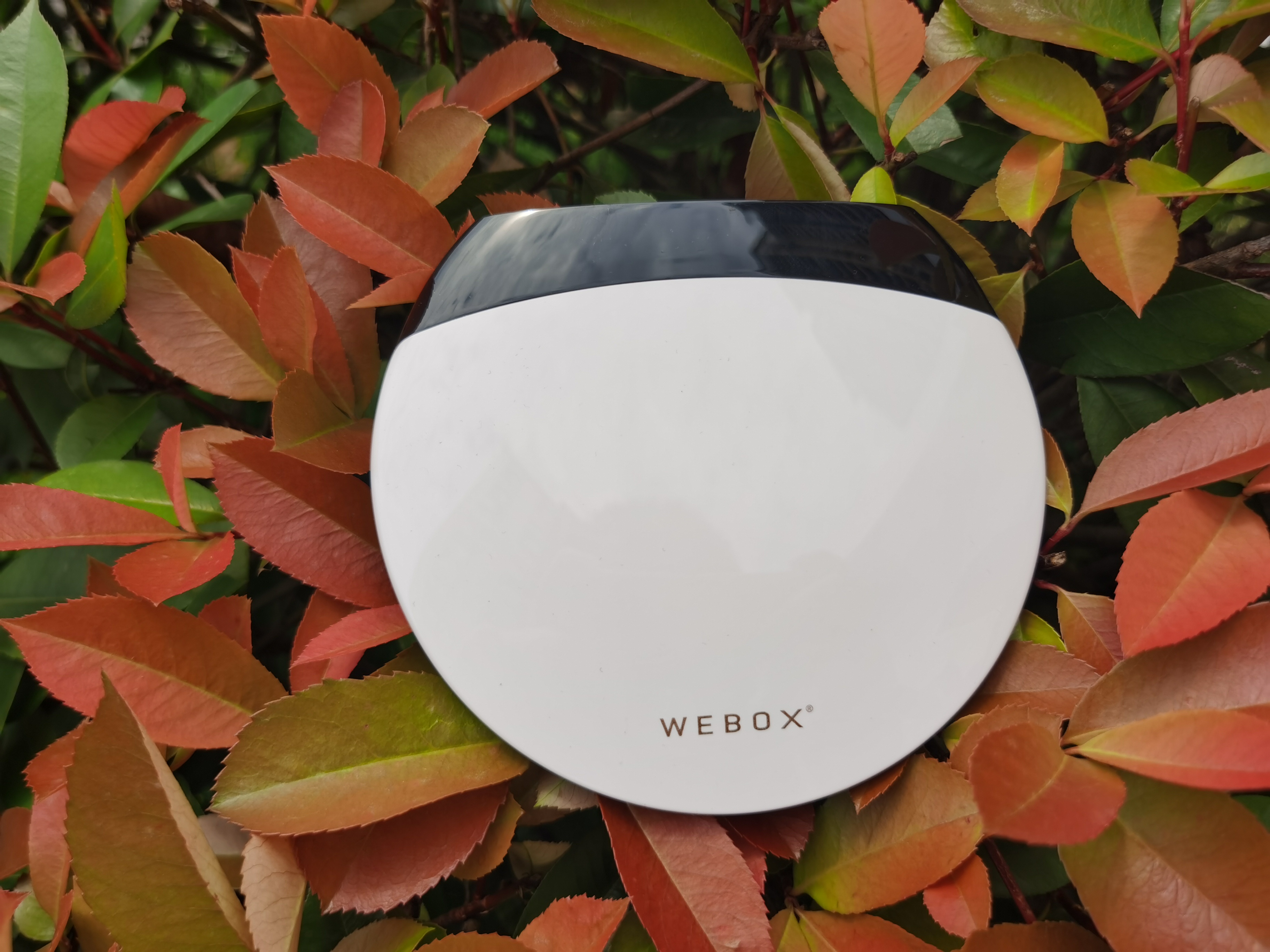 泰捷we30s跟we30c有什么不一样,泰捷we30s好用吗