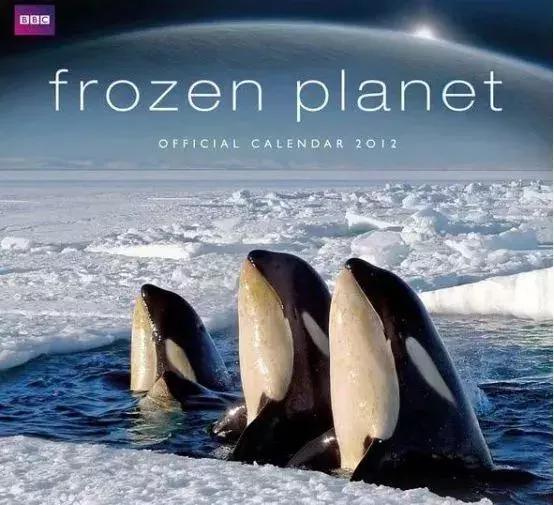 长春家长都领着孩子在干这件事儿，你没做，就落后了！