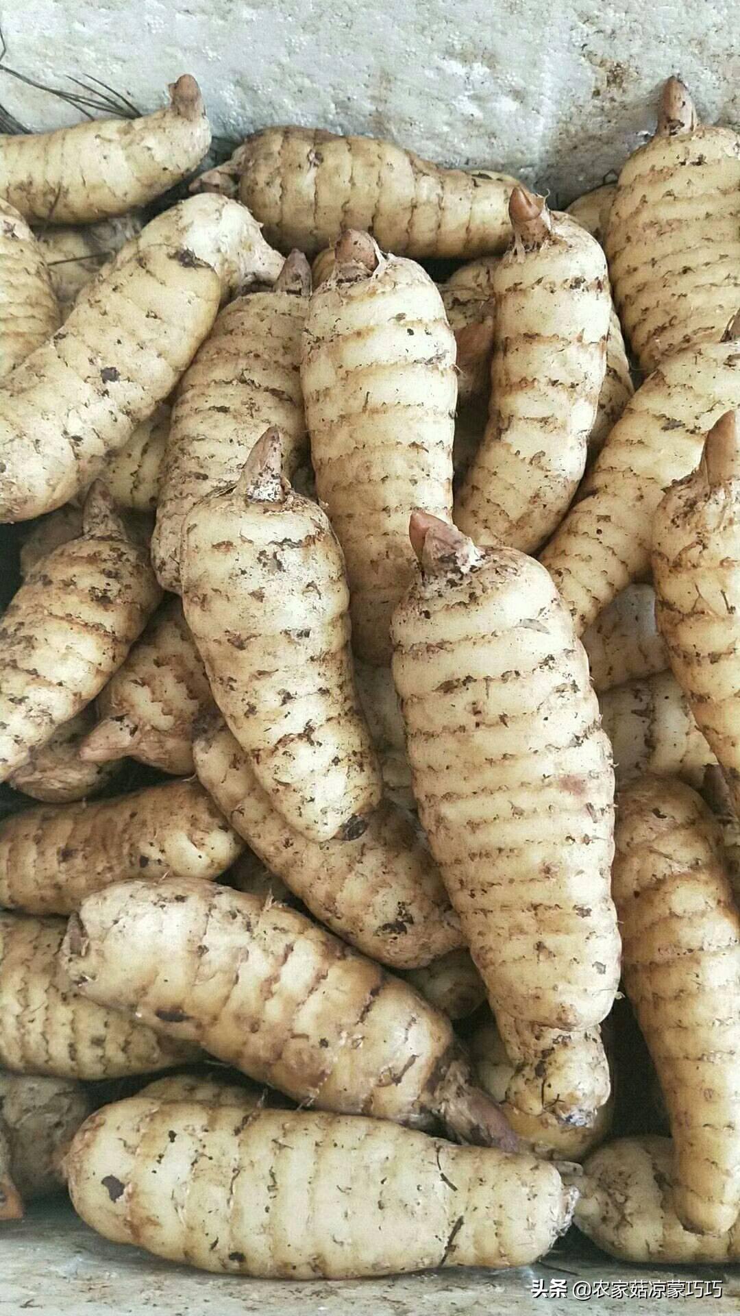 中国有几个昭通,中国有多少个昭通