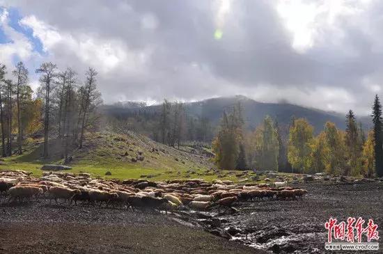 泪目支教老师千字长文,支教老师离开感人视频哭成泪人