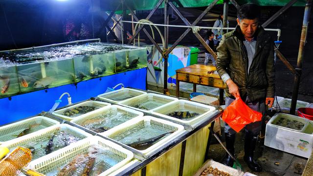 广东有什么适合游玩的岛屿,广东有什么好玩的海岛