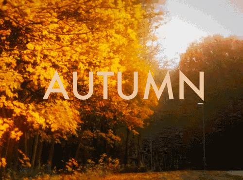 好物推荐女生护肤学生党,好物秋冬护肤大作战