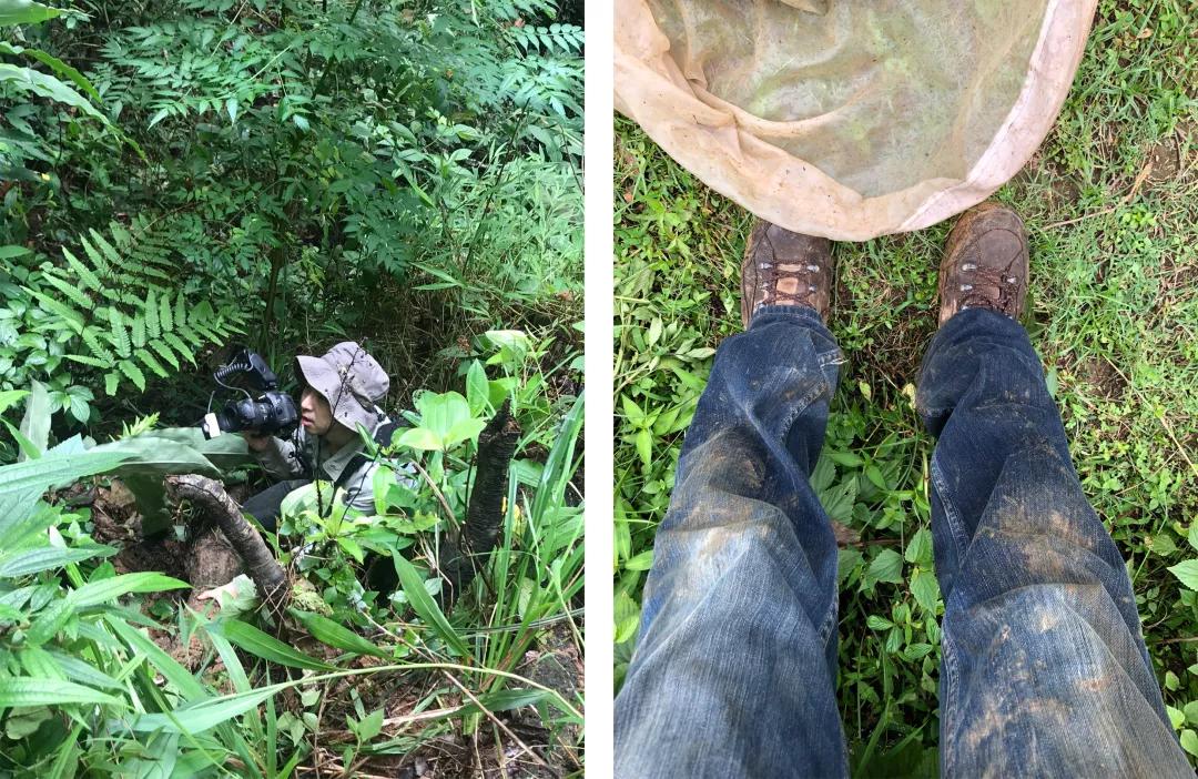 徒步云南虫谷,云南虫谷经典