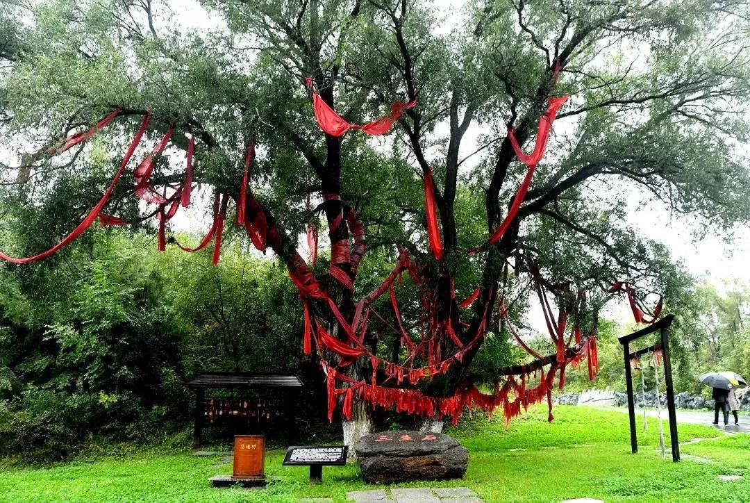 情深缘起重逢,情深缘起下一句