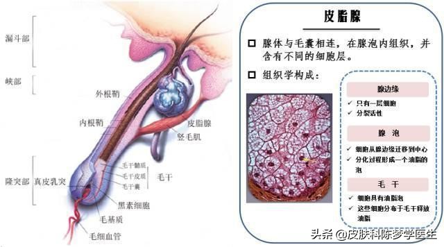 青春痘首选治疗方案是什么？答案都在这里了