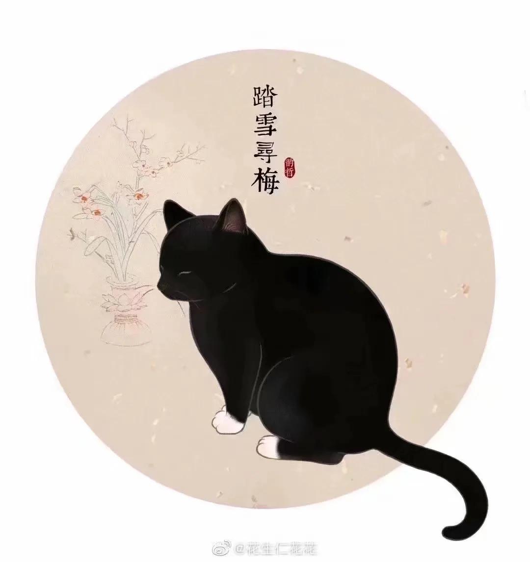 猫在古代是如何看待猫的,古人按猫的颜色分类
