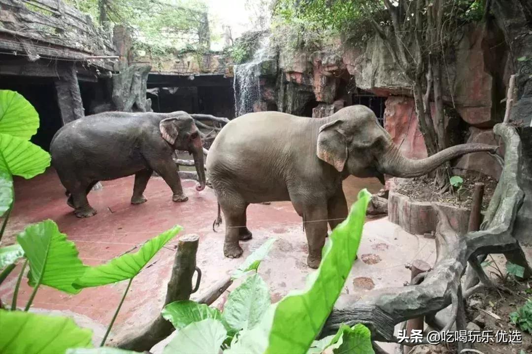 「国庆欢乐提前购」早买优惠！佛山5A长鹿休博园双人套票158元起