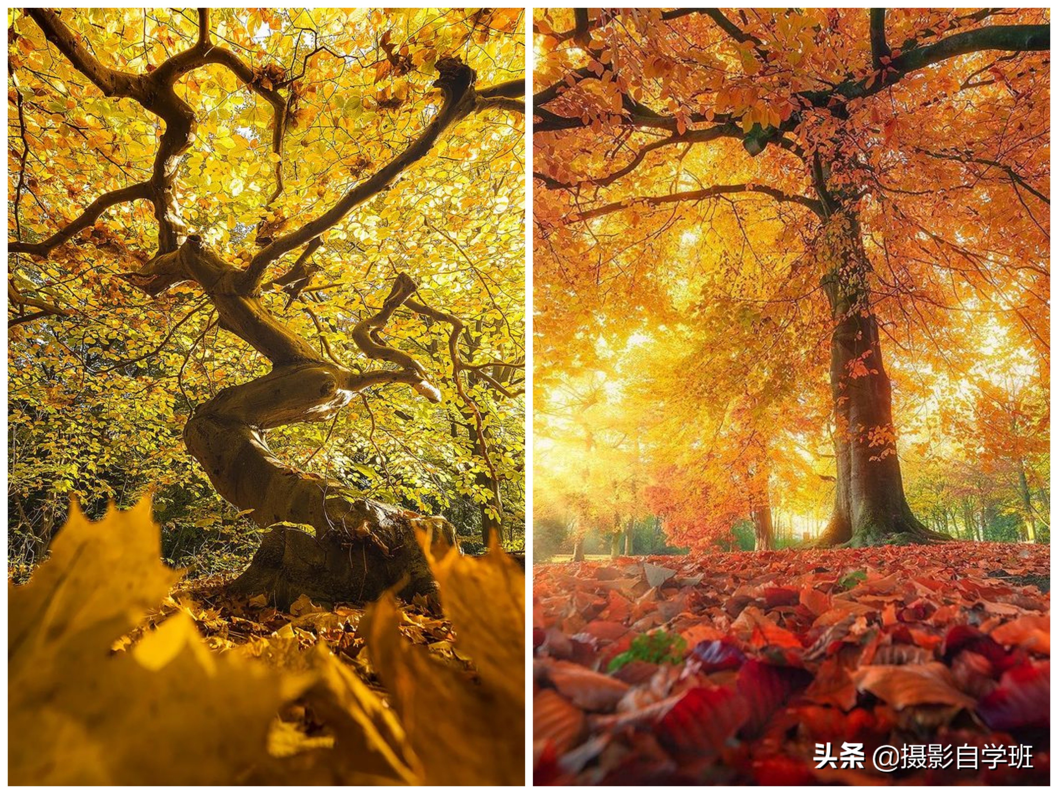 风景不好看怎么拍,风景不知道咋拍好