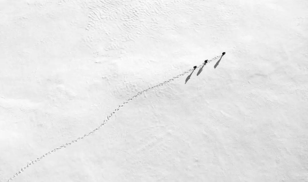 怎么用普通的手机拍出雪景大片,用手机原相机怎么拍雪景才好看