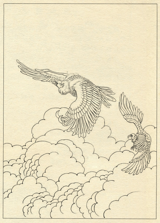 白描鹰技法基础入门,工笔画素材白描鹰图漂亮