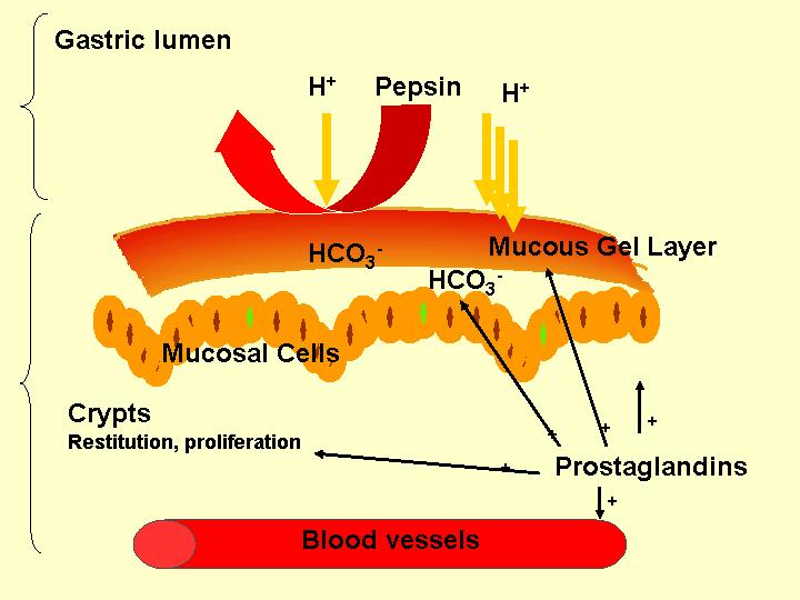 便秘难治，溃疡出血，植物神经紊乱有多麻烦？医生教你四招保健康