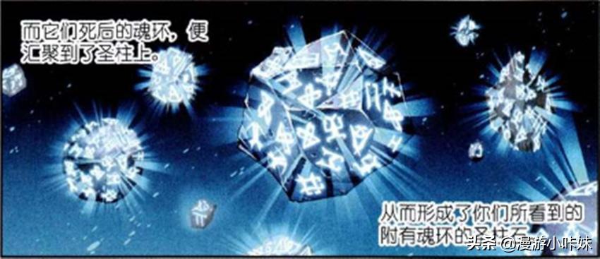 斗罗大陆从最低魂环到最高魂环,斗罗大陆第六魂环怎么选