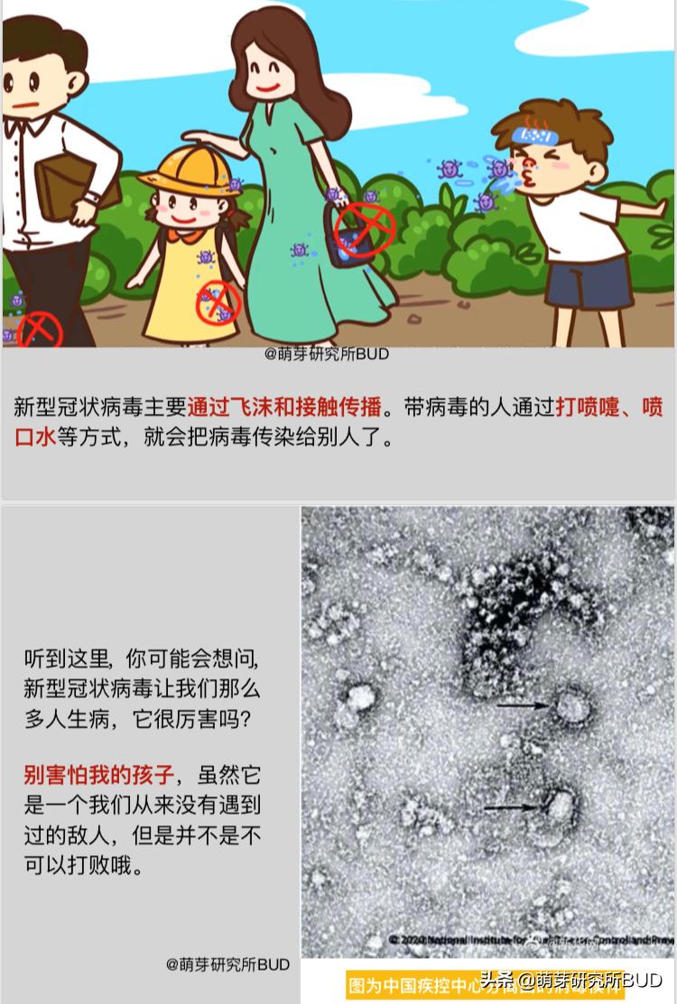 一本简明有趣的科普小书,儿童科普小说推荐